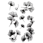Preview: Gingkoblätter